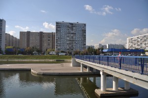 Молодежная палата предложила свое видение развития Братеевского пруда