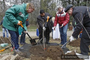 На улице Борисовские пруды проведут работы по озеленению