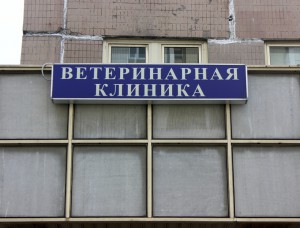 Ветеринарная клиника в районе Братеево