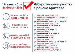инфографика выборы_Братеево
