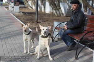 Житель района Братеево со своими собаками