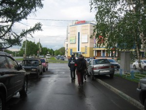 Активисты Безопасной столицы в районе Братеево
