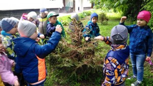 Дошкольники стали участниками экологического праздника