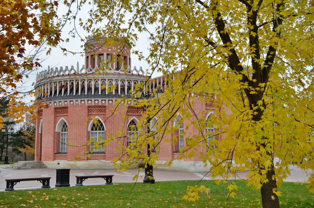 Сотрудница МЗ «Царицыно» стала Заслуженным работником культуры России. Фото: Анна Быкова, «Вечерняя Москва»