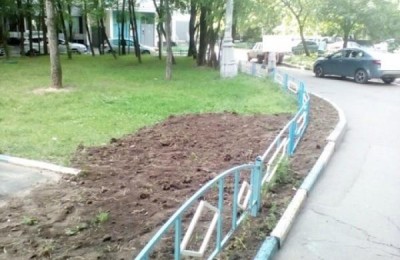 Благоустроенный газон на Павловской улице