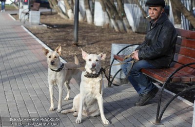 Житель района Братеево со своими собаками