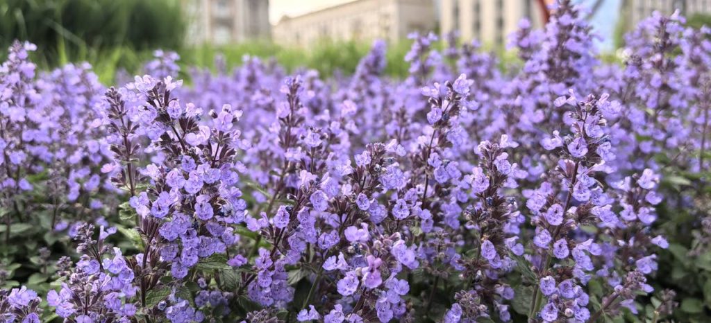 Об экологическом воспитании поговорили в дошкольных группах школы №1998 «Лукоморье». Фото: Алена Куликова, «Вечерняя Москва»