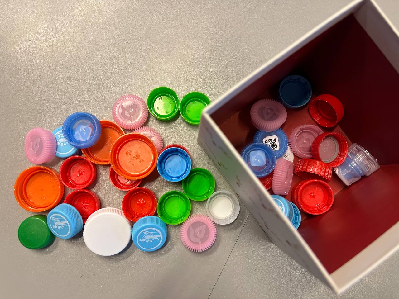 Школа 998 собрала пластиковые крышечки для помощи благотворительному фонду «Кораблик». Анастасия Герман, «Вечерняя Москва»