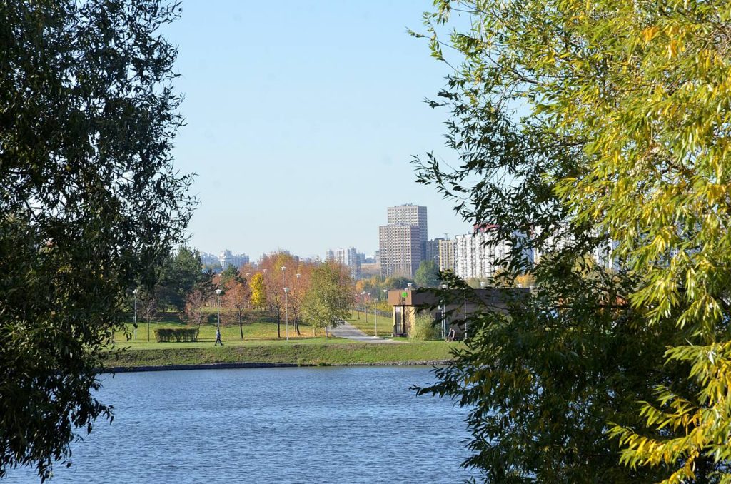 Торги за право аренды подэстакадного пространства в Братееве проведут в столице. Фото: Анна Быкова, «Вечерняя Москва»