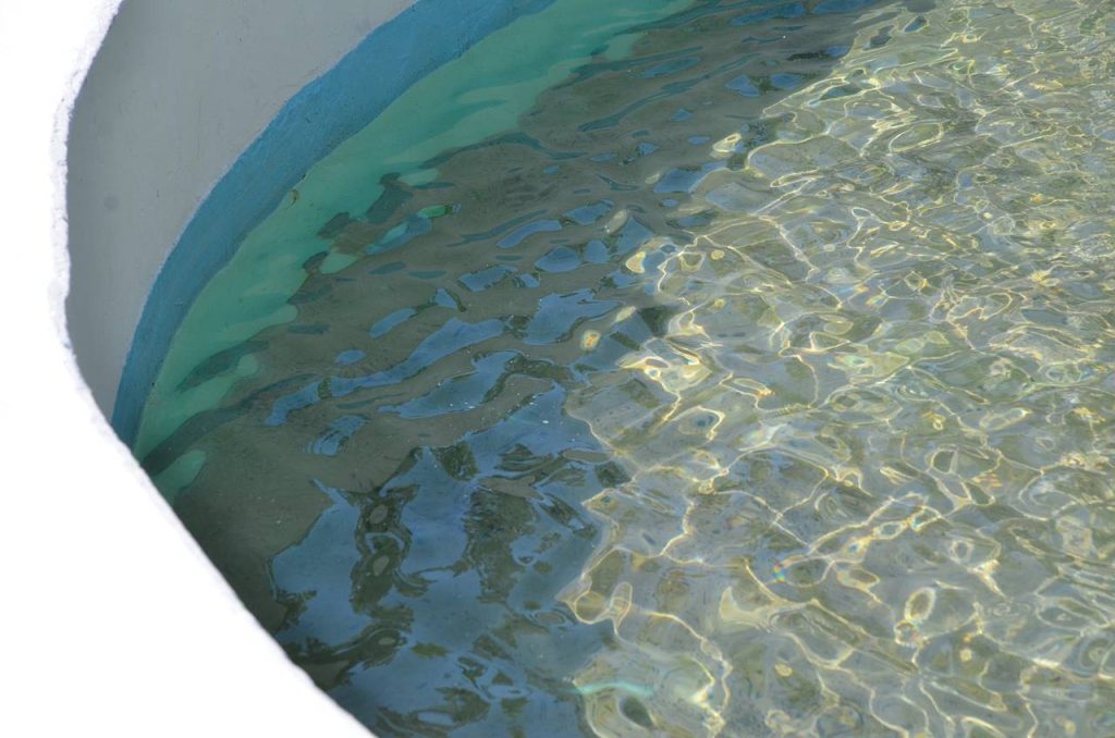 Летний бассейн в Братееве пользуется спросом. Фото: Анна Быкова, «Вечерняя Москва»