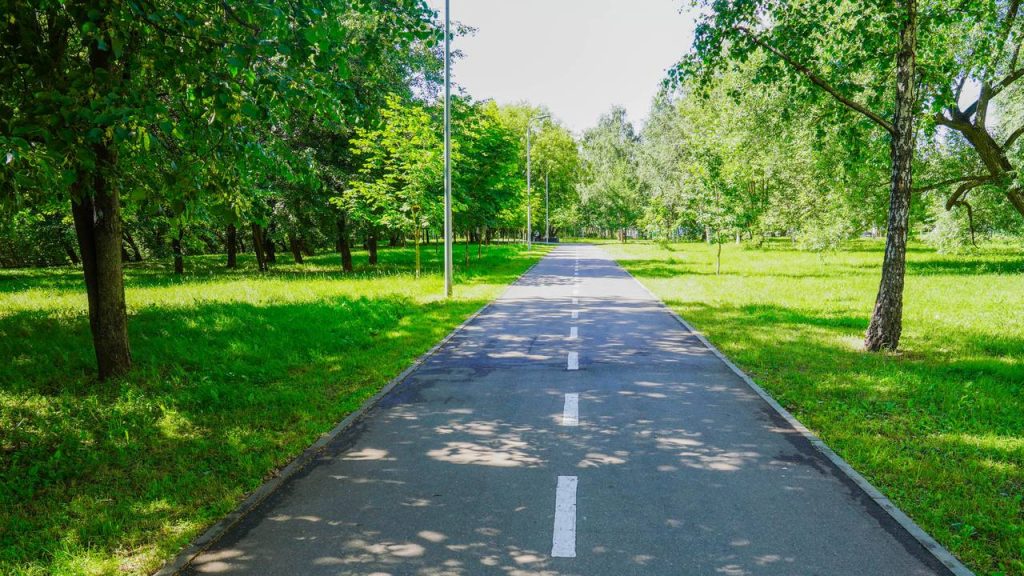 Некоторые маршруты пролегают через территории, на которых расположены специализированные площадки для выгула и дрессировки животных, созданные по новому стандарту в рамках проекта «Питомцы в Москве». Фото: Анна Быкова, «Вечерняя Москва»