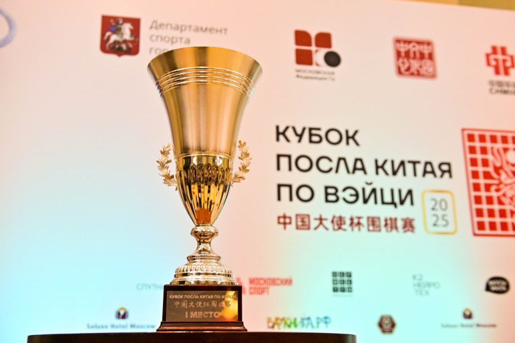 В столице состоялся XIII Кубок Посла Китая по Вэйци. Фото: Сергей Киселев, Агентство городских новостей «Москва»