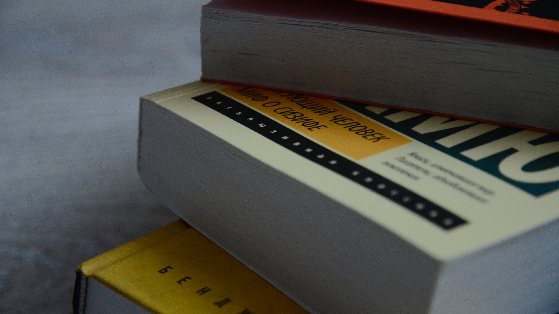 Выставка «Театральная полка» пройдет в библиотеке №150. Фото: Анна Быкова, «Вечерняя Москва»