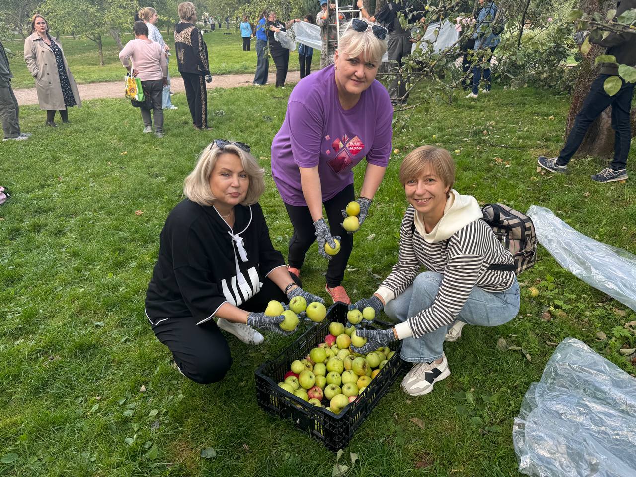 Ирина Гонцова приняла участие в сборе яблок для военнослужащих — фото- и видеорепортаж. Фото: Анастасия Сёмина, «Вечерняя Москва»