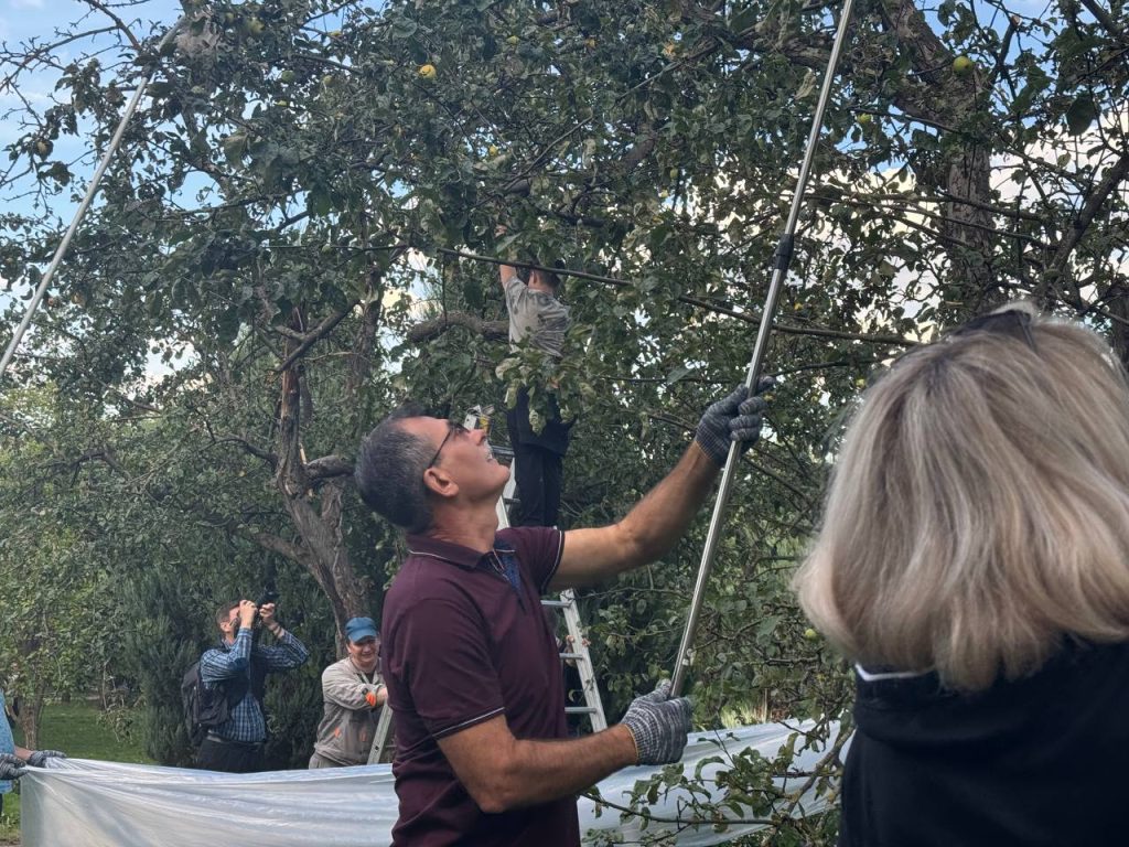 Александр Серегин принял участие в акции — фото- и видеорепортаж. Фото: Анастасия Сёмина, «Вечерняя Москва»