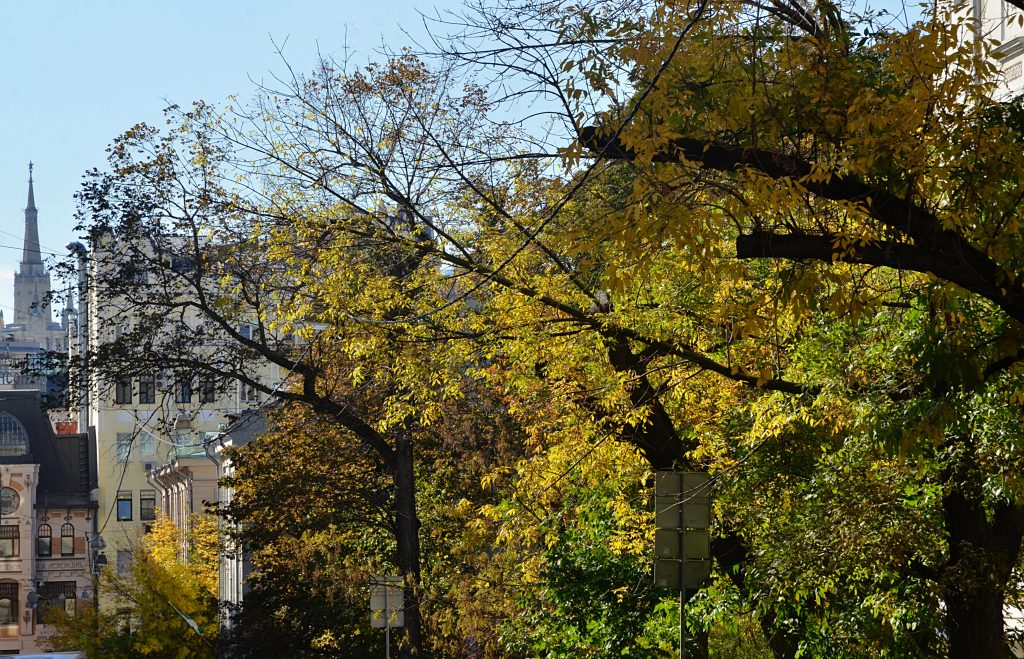 Всероссийские соревнования по художественной гимнастике «Путь к Олимпу» пройдут в Москве 4 и 5 октября. Фото: Анна Быкова, «Вечерняя Москва»