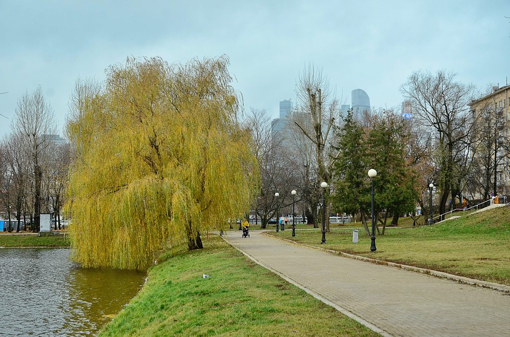 Подведены итоги работы московского управления ФНС за январь – сентябрь. Фото: Анна Быкова, «Вечерняя Москва»