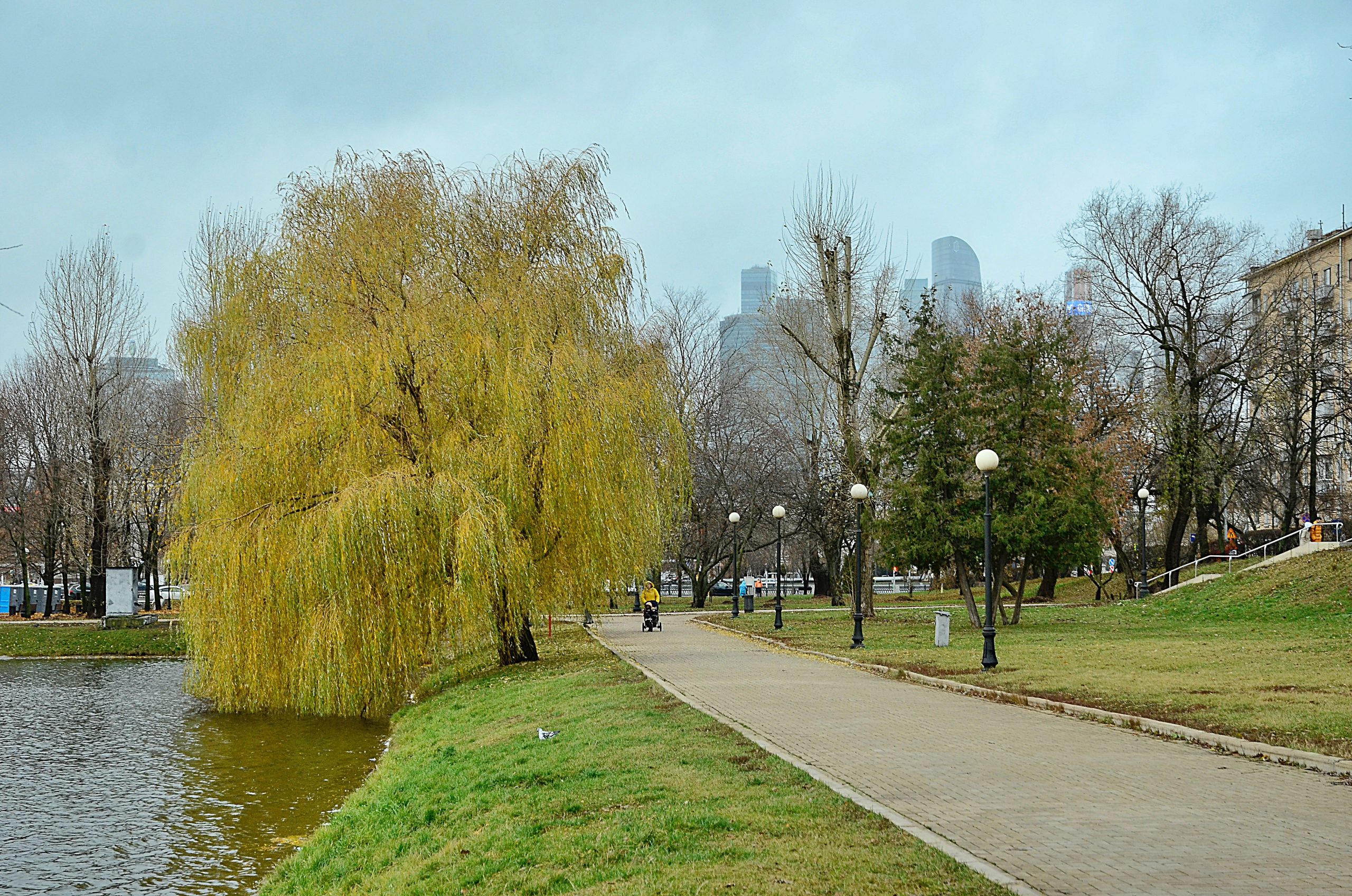 Подведены итоги работы московского управления ФНС за январь – сентябрь. Фото: Анна Быкова, «Вечерняя Москва»