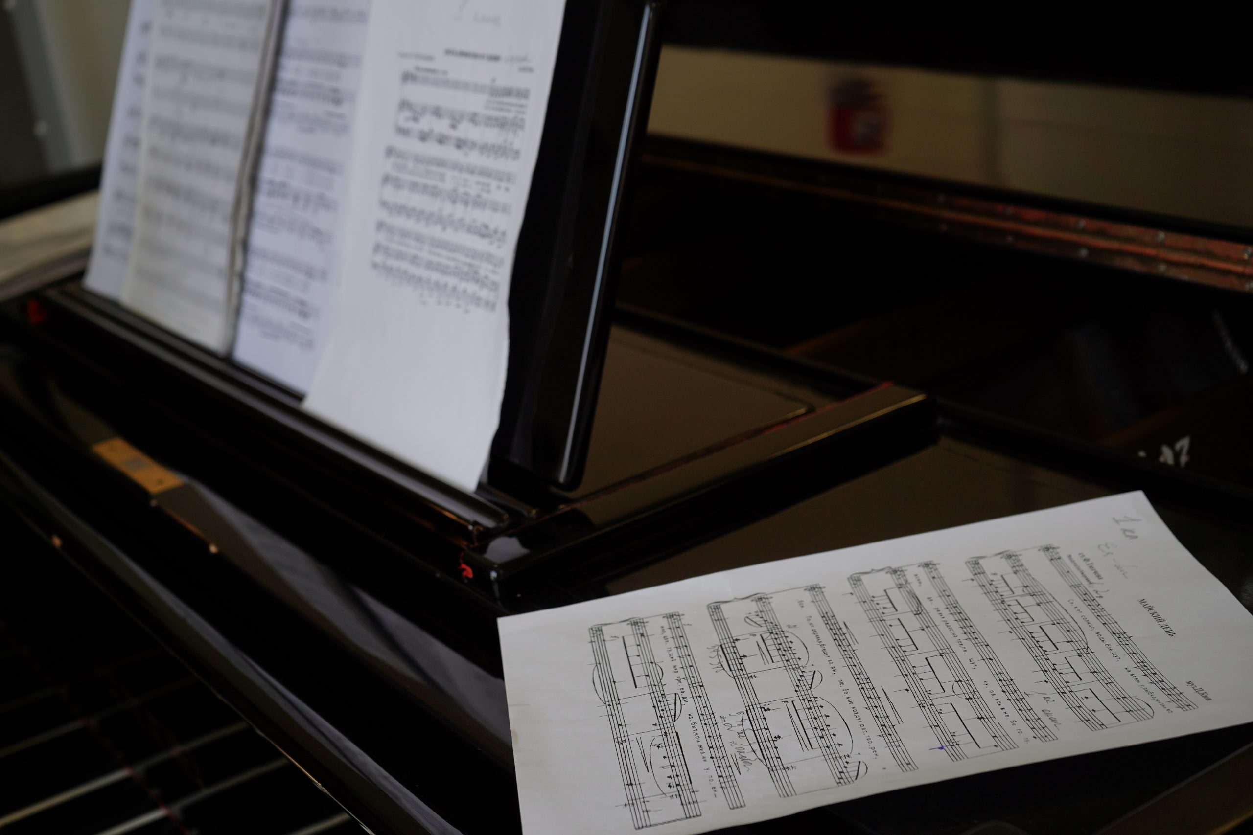 Концерт «Единство сердец» пройдет в КЦ «Братеево». Фото: Анна Быкова, «Вечерняя Москва»