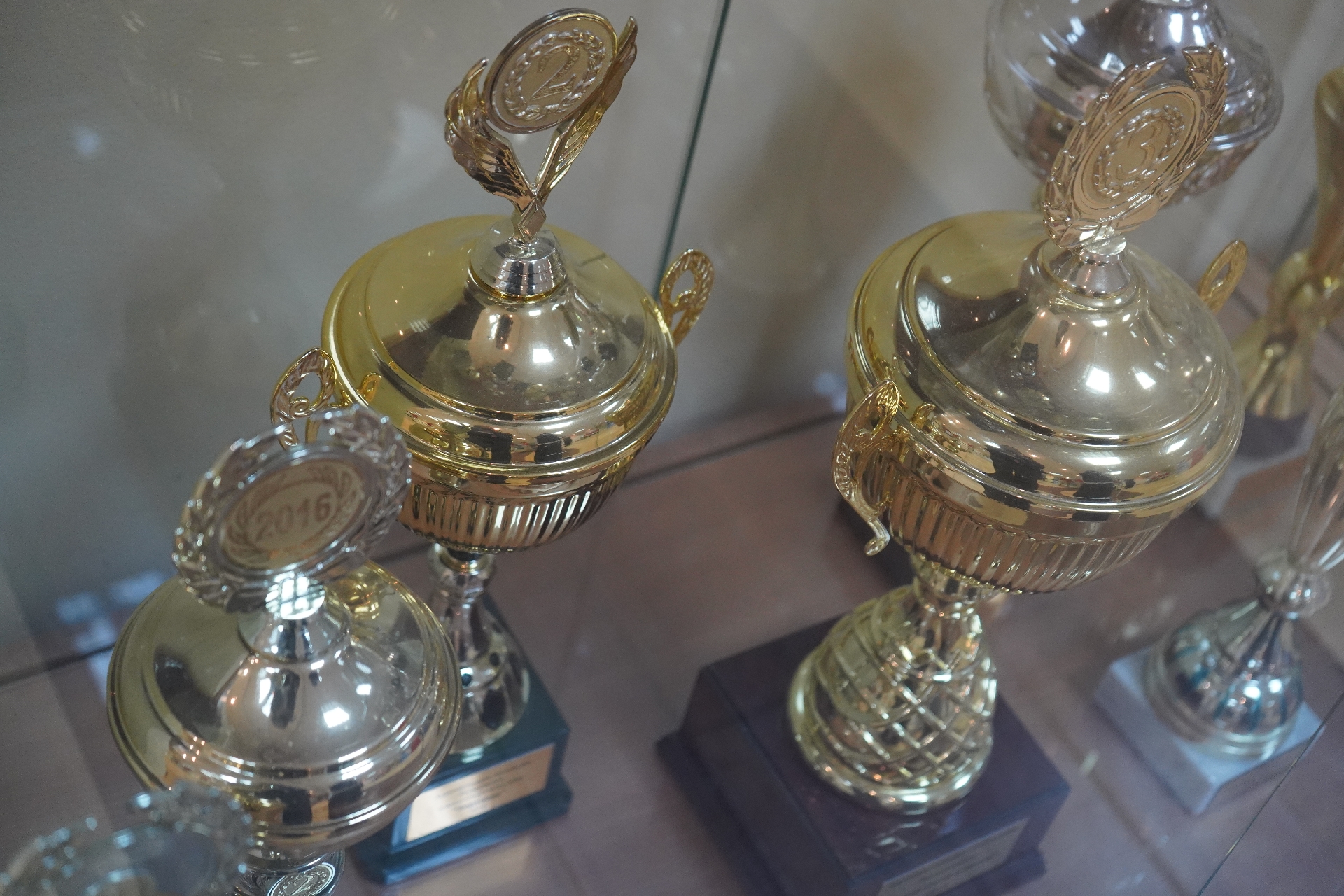 Ученики школы №1998 «Лукоморье» победил на боксерском турнире. Фото: Анна Быкова, «Вечерняя Москва»