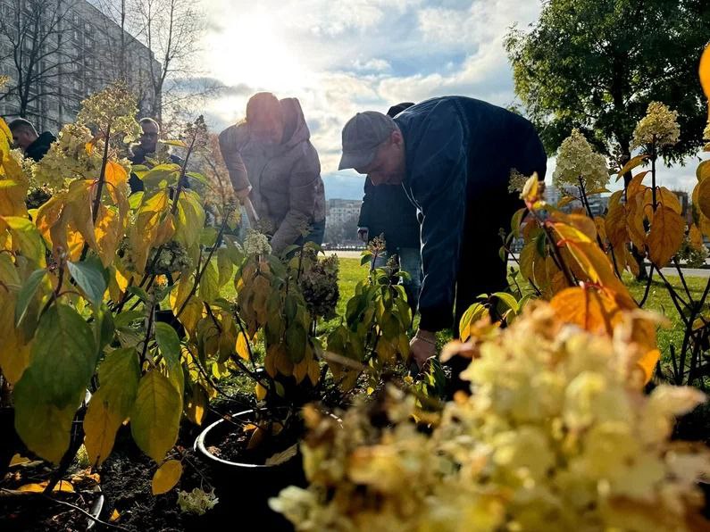 Глава МО Братеево рассказал о городской акции. Фото: Telegram-канал Антона Власенко