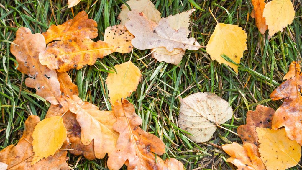 Ольга Белоусова поздравила всех жителей с Днем народного единства. Фото: Ксения Догонашева, «Вечерняя Москва»