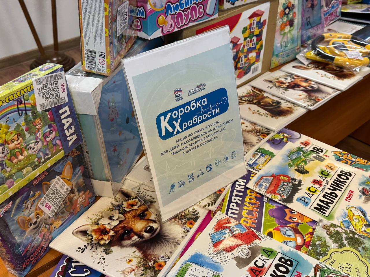 Депутаты района Братеево приняли участие в акции «Храбрая коробка» — фото- и видеорепортаж. Фото: Анастасия Сёмина, «Вечерняя Москва»