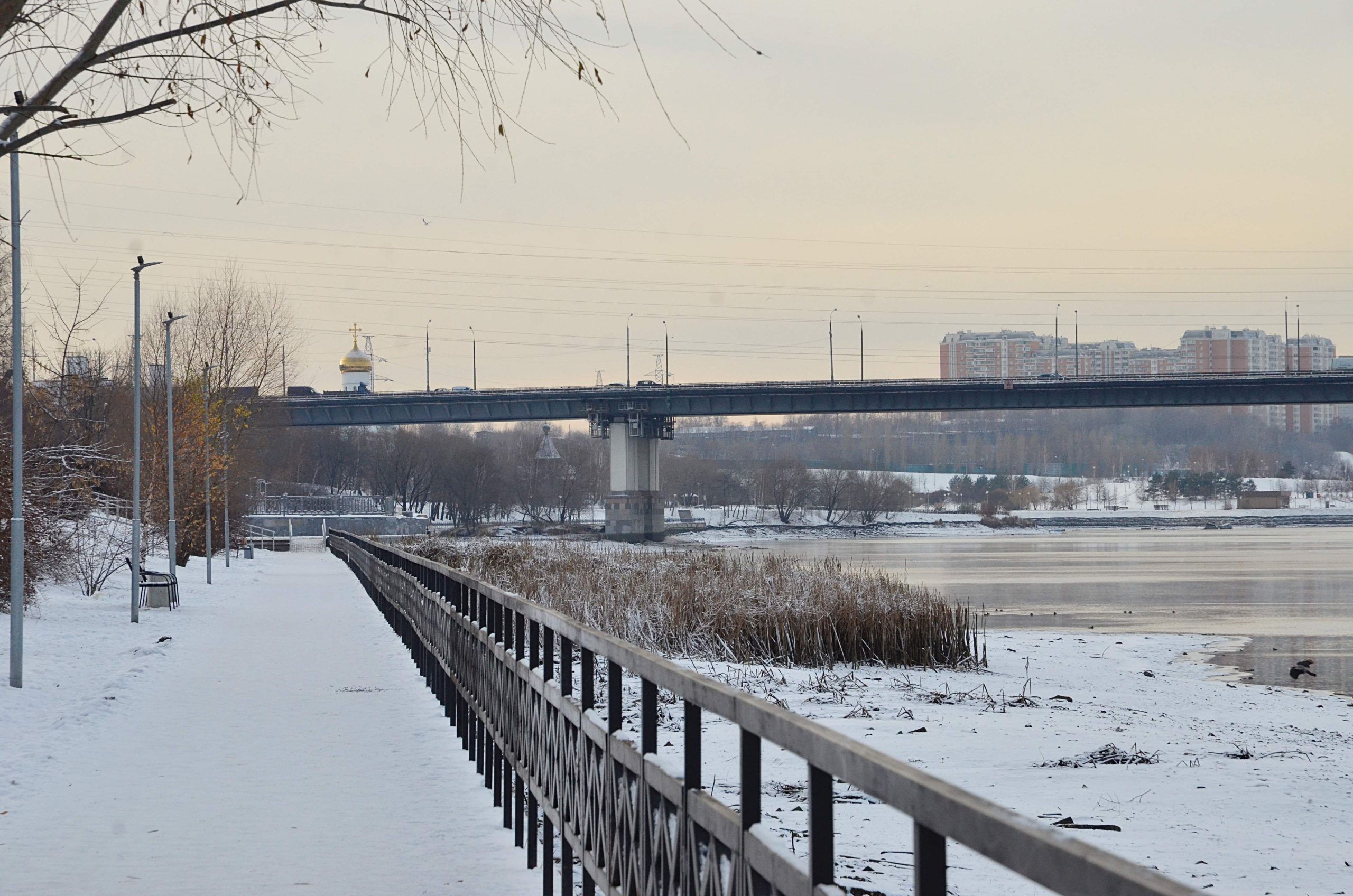 Специалисты реорганизуют территорию в Братееве. Фото: Анна Быкова, «Вечерняя Москва»