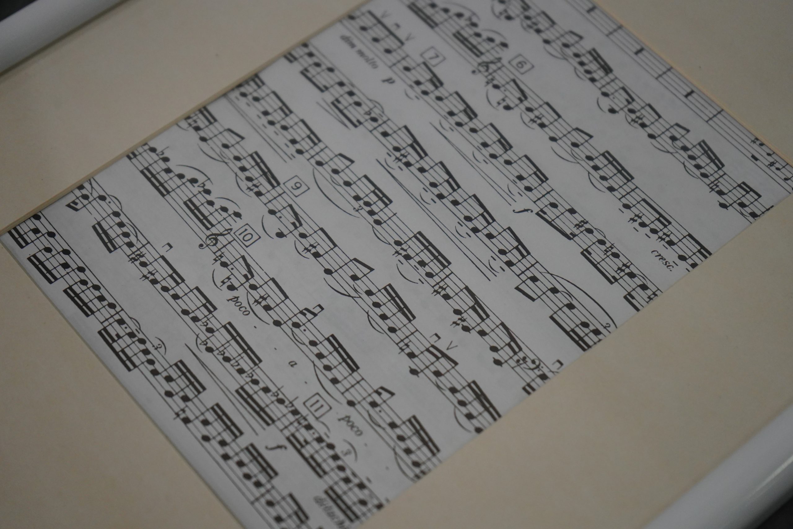 Воспитанники ДШИ №10 выступили в Доме ученых РАН. Фото: Анна Быкова, «Вечерняя Москва»