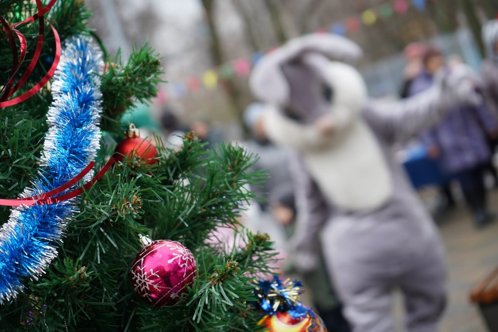 Новогодние гуляния пройдут в Братееве. Фото: Анна Быкова, «Вечерняя Москва»