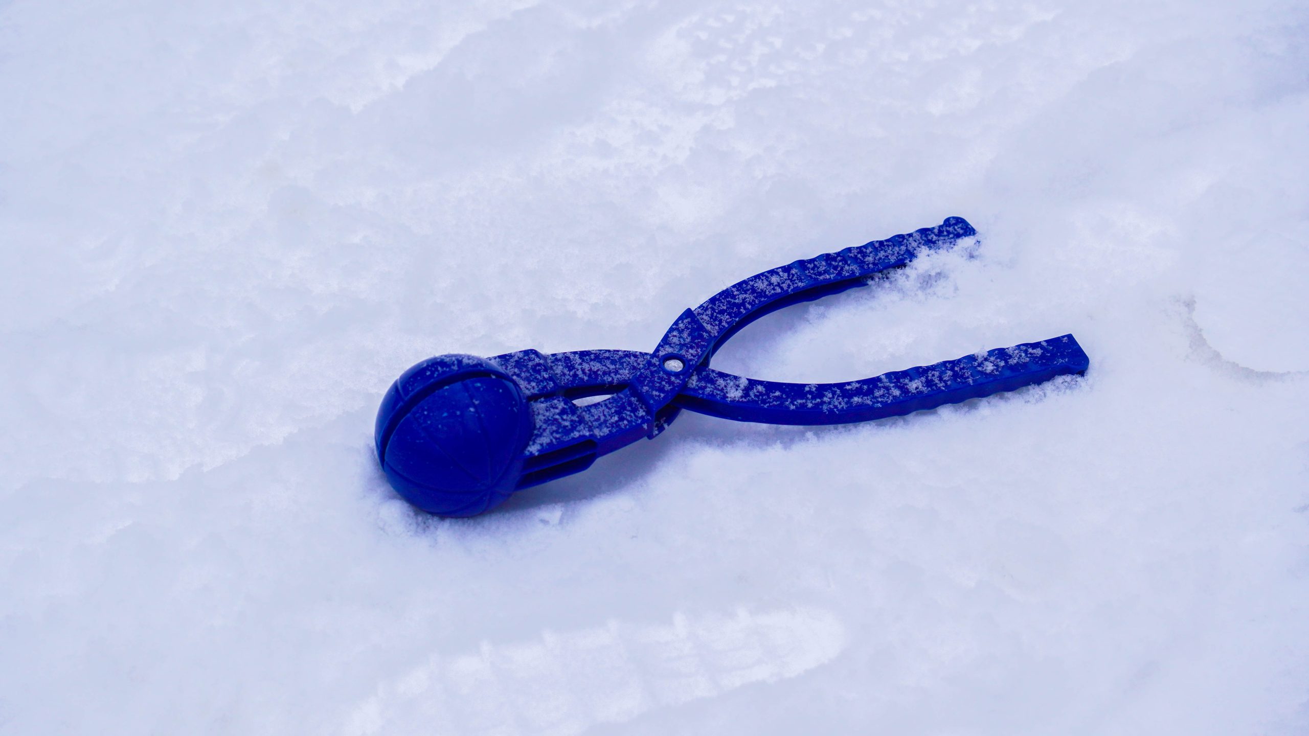 Игровую программу проведут специалисты КЦ «Братеево». Фото: Ксения Догонашева, «Вечерняя Москва»