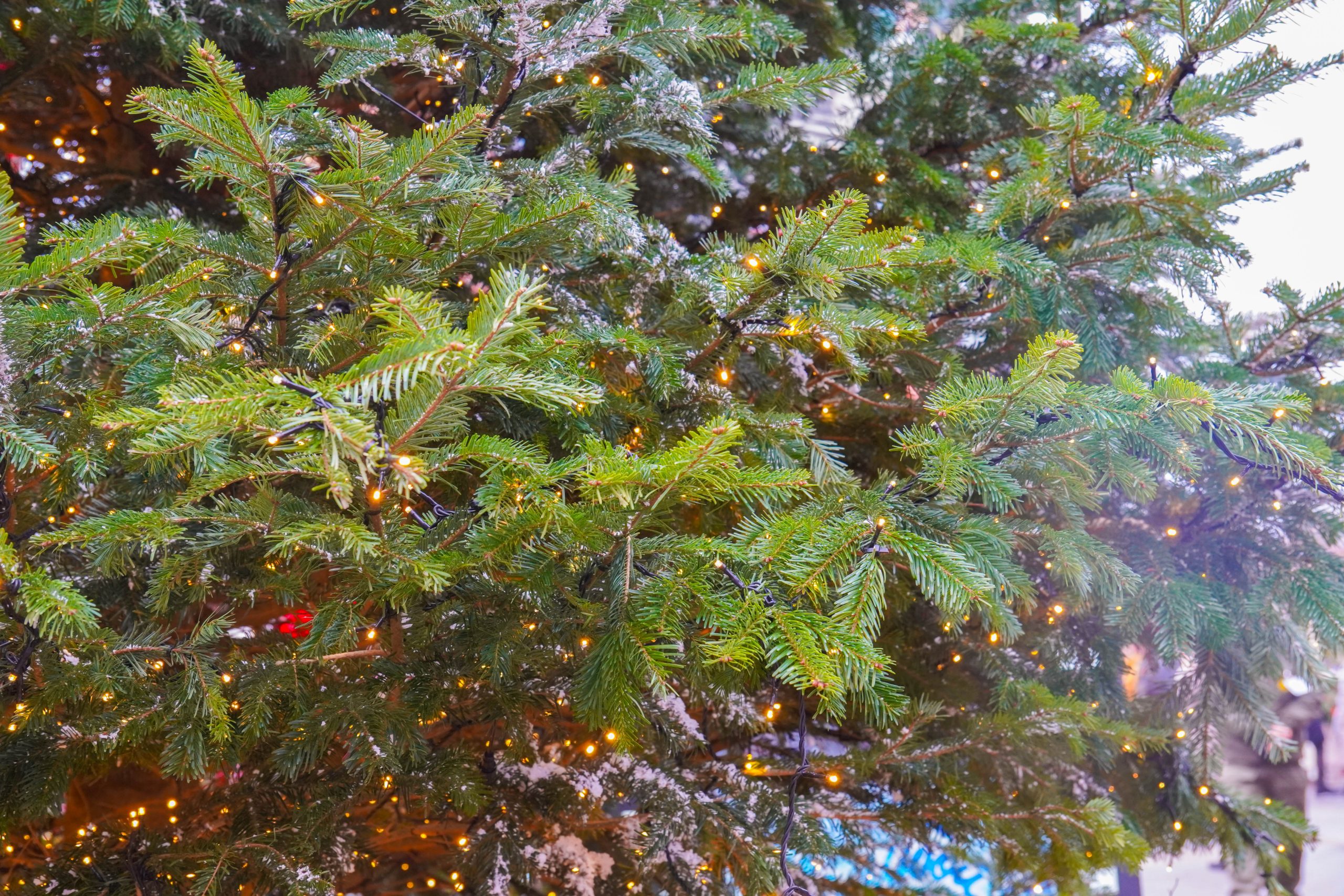 Анимационная программа пройдет для юных братеевцев. Фото: Ксения Догонашева, «Вечерняя Москва»