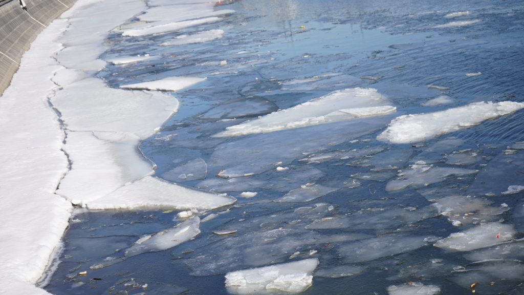 Реабилитацию пруда проведут в районе Братеево. Фото: Анна Быкова, «Вечерняя Москва»
